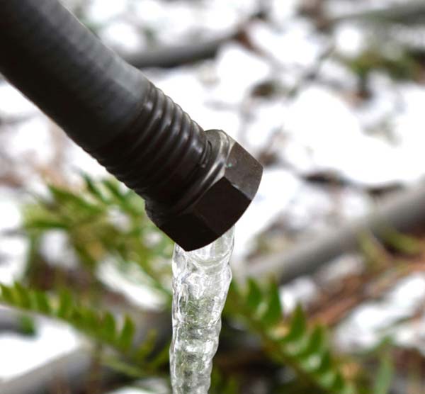 Frozen Pipe Frozen Pipe