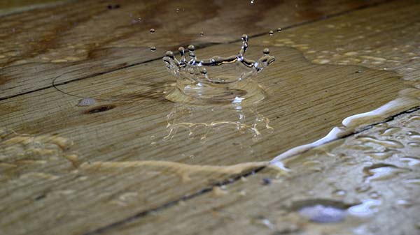 Water Dripping On Hardwood Floor Water Dripping On Hardwood Floor